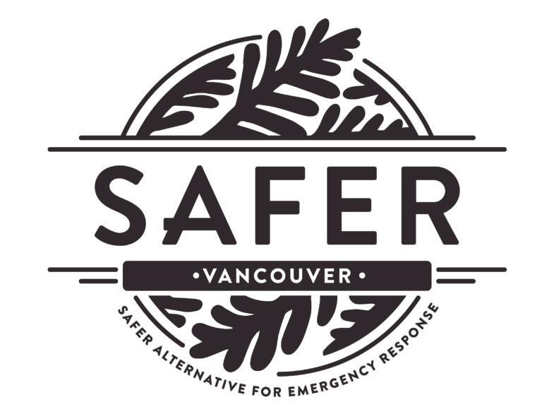 SAFER logo